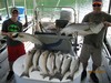 (08/18/2018) - Nice Striped Bass